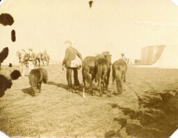 /medias/customer_2/NUMERISATION_2025/45 Fi Collection Pierre Allier/45_Fi_277_jpg_/0_0.jpg